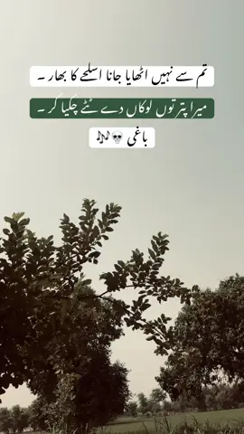 LINES 💀🎶‼️ہاں جی ‼️Repost❗️#foryou #1millionaudition #viralontiktok #باغی_لوگ🔥 