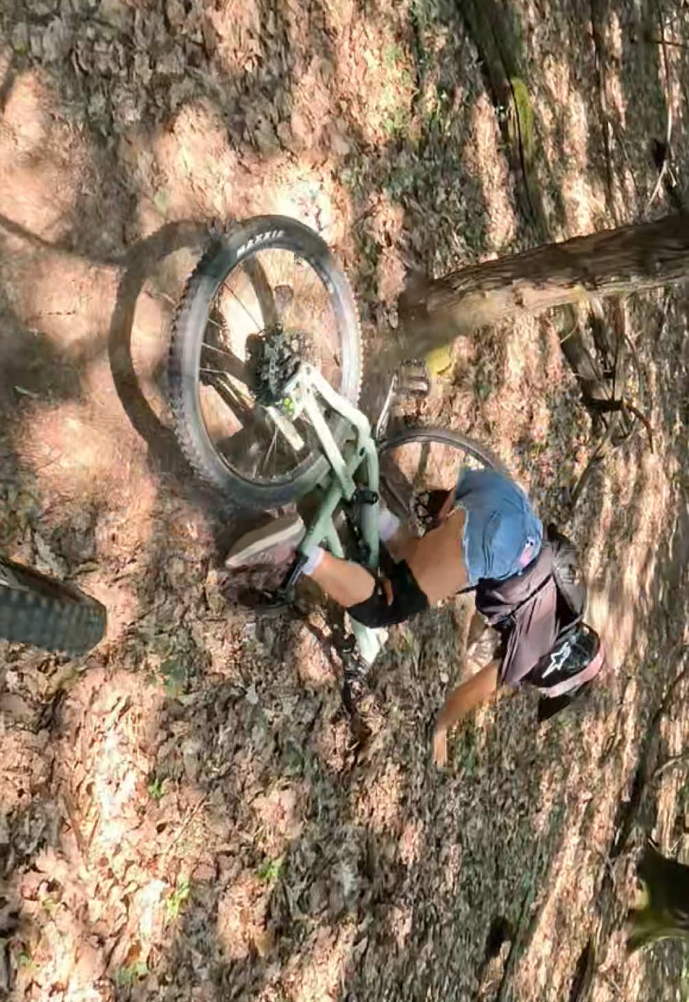 la grande schivata dell’albero🫪 #fyp #mtb #enduro 