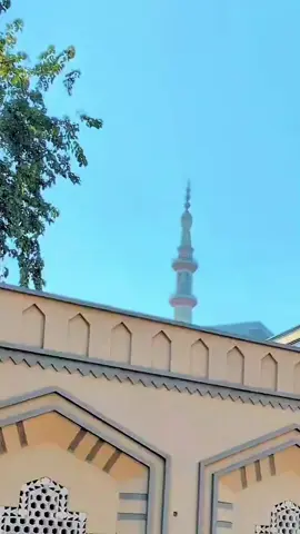 جامعہ سلفیہ فیصل آباد کا شاندار تعارف ماشاءاللہ 