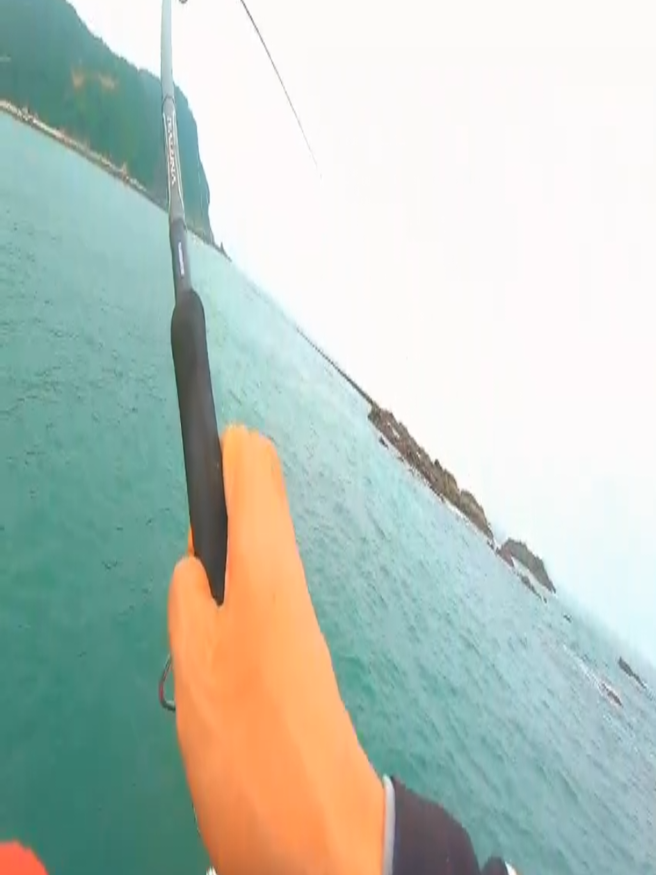 Trả lời @lilconank Săn con GT ni bác nị #câucá #fishing #vietnam #caucabien #cần_thủ 