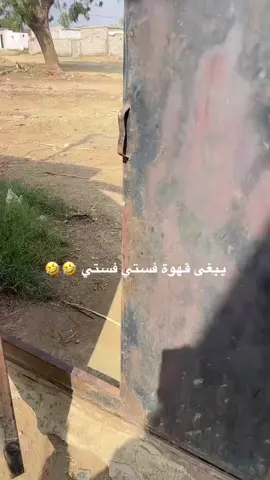 #اكسبلورexplore #قهوة_v60 #الشعب_الصيني_ماله_حل😂😂 