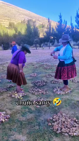 feliz día 