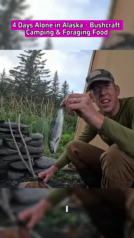 4 Days Alone in Alaska - Bushcraft Camping & Foraging Food #Outdoors #outdoor #outdoorcooking #camp #camping #cook #cooking #alaska #survival #bushcraft #survivalskills 