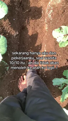 #petanimuda #masukberanda 