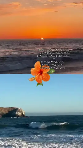 #سبحانه وتعالى صباح النور والسرور#🌹🌱🌹اكسسسسسسبلور🌹🌹🕊️ 