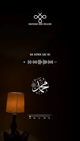 #lyricsvideo #arewa__tiktok #videoviral #maiduguritiktok @haidar_ 