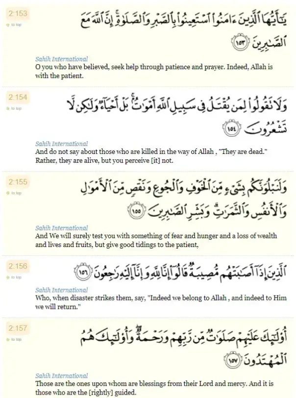 Beautiful Recitation of Suratul Baqarah from Verse 153-157 by Sheikh Afif Mohammed Taj. #WondersoftheQuran  #islamisthewayoflife 