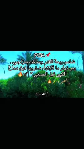خليك ف صفي عشان لو شميت ريحه الخيانه والغدار هقلبها ع الكل  #استوريهات_العطار🦅 #تصميم_كاب_كات  #امثال_وحكم #fyppppppppppppppppppppppp #creatorsearchinsight 
