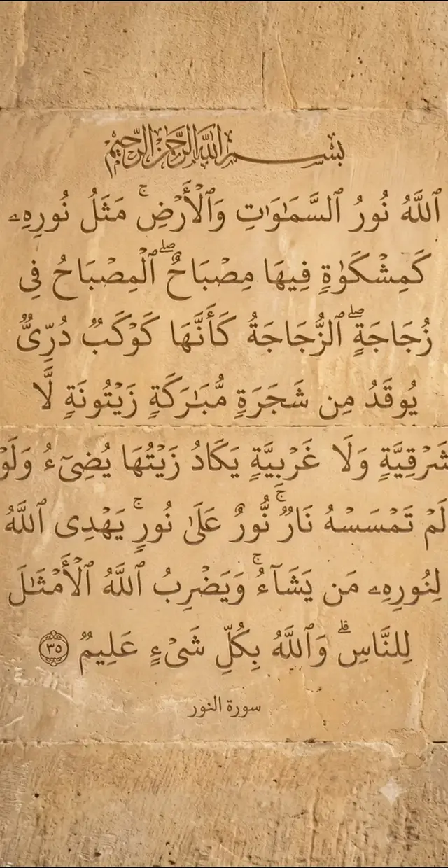 @@@@car@@محمد أبو الشيخ 