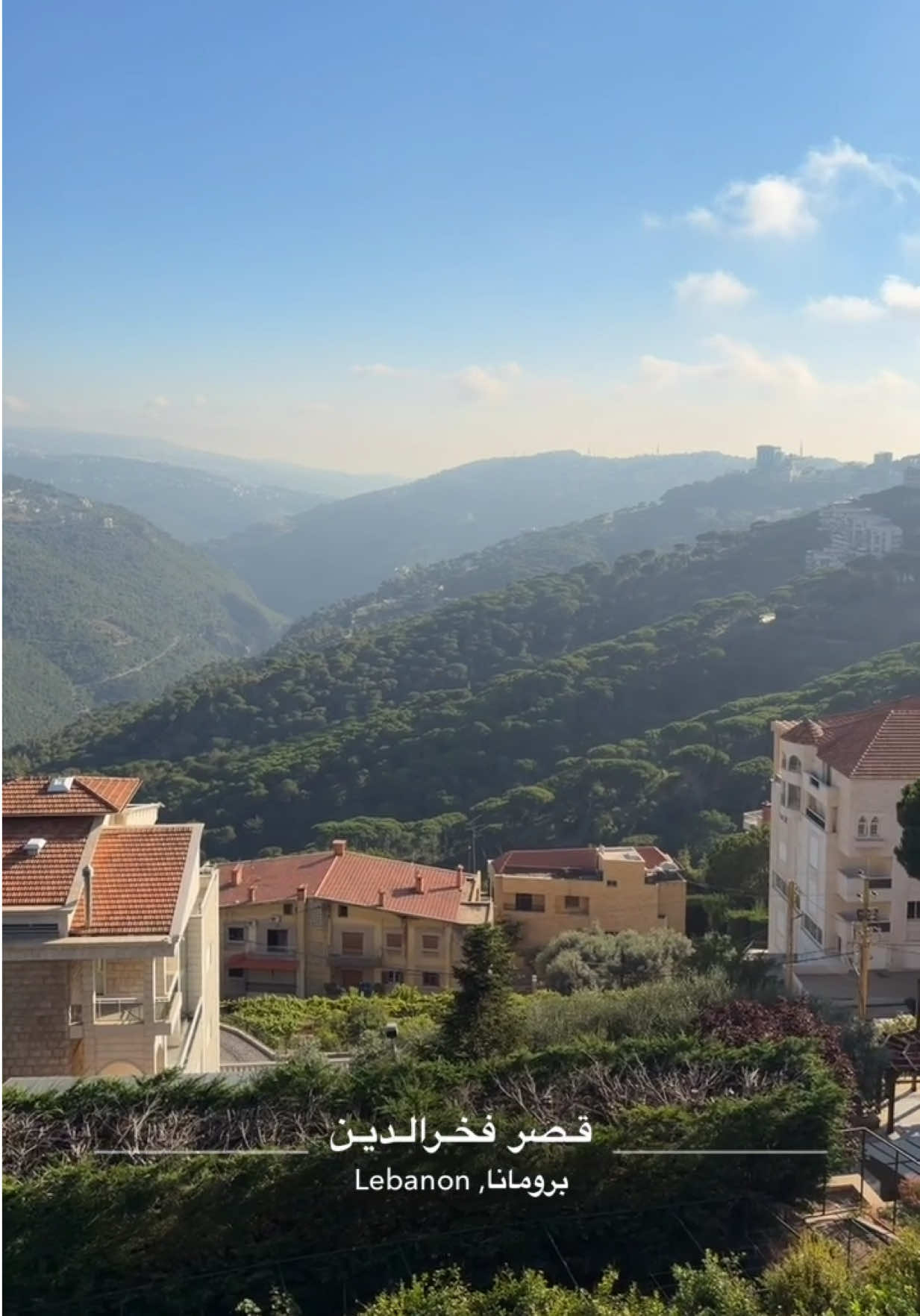 #مطعم_فخر_الدين لبنان 🇱🇧 
