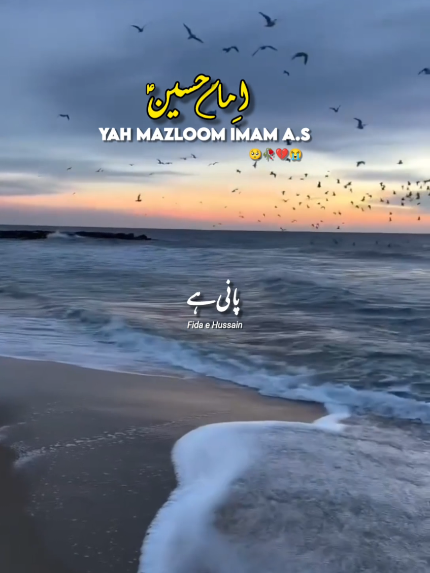 Ya Mazloom imam 🥺❤️‍🩹 . . #imamhussain #nadeemsarwar #newnoha #shia #fyp