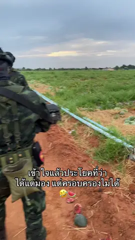 ใครลักแตงชาวบ้าน🤣#หัวเกรียน #รูปหล่อคอราบ💂🏻‍♂️🇹🇭 #ทหารไทย #ขึ้นฟีดเถอะ 