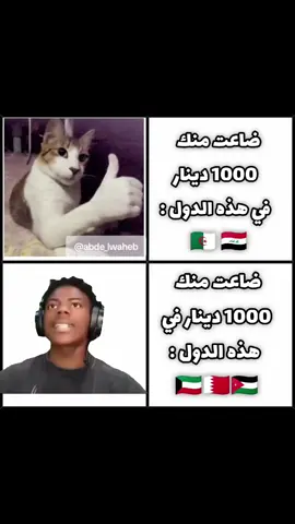 يعادل مبلغ 1000 دينار في الكويت والبحرين والأردن تقريبًا بين 1000 و3000 دولار، لذلك يعتبر مبلغًا كبيرًا وله قيمة قوية. أما في الجزائر والعراق، فالأمر مختلف تمامًا؛ لأن قيمة الدينار أقل بكثير،  . #الكويت #الجزائر #العراق #pov #explore 