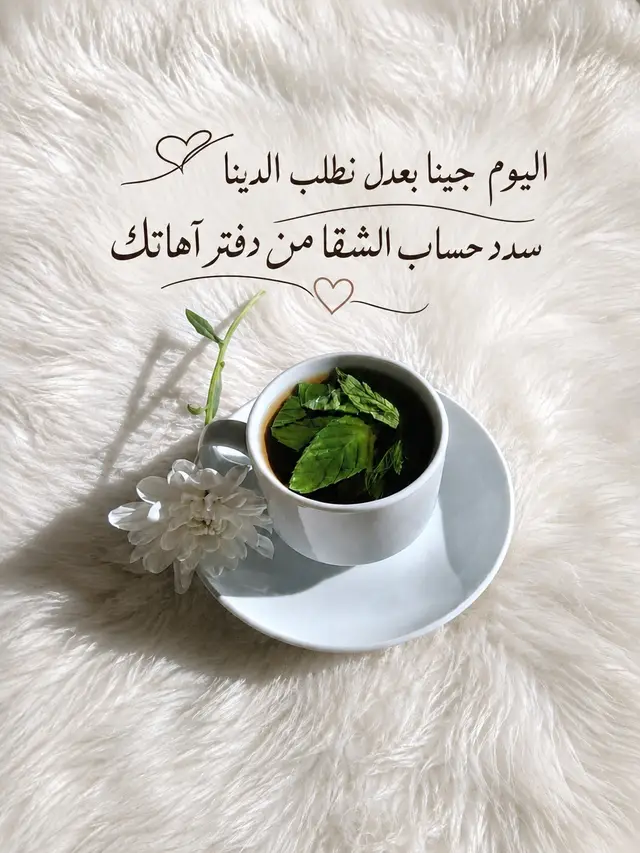 #مجرد_ذووقツ🖤🎼 #مساء_الخير  #اليمن #لطفي_بوشناق  #foryou 