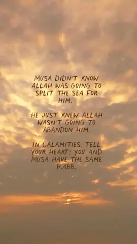 #IslamicReminder #Tawakkul #Quran #MuslimContent #FaithOverFear 