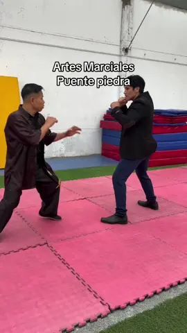 Se parte de los entrenamientos  #kungfu #artesmarciales #defensapersonal @Umexson Vasquez Flores 