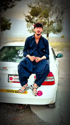 ریپوسټ او شېر 🫀🦅 #foryourpage #vairal #unfrezzmyaccount #explore #foryou @Khateb Rokhan🦅 
