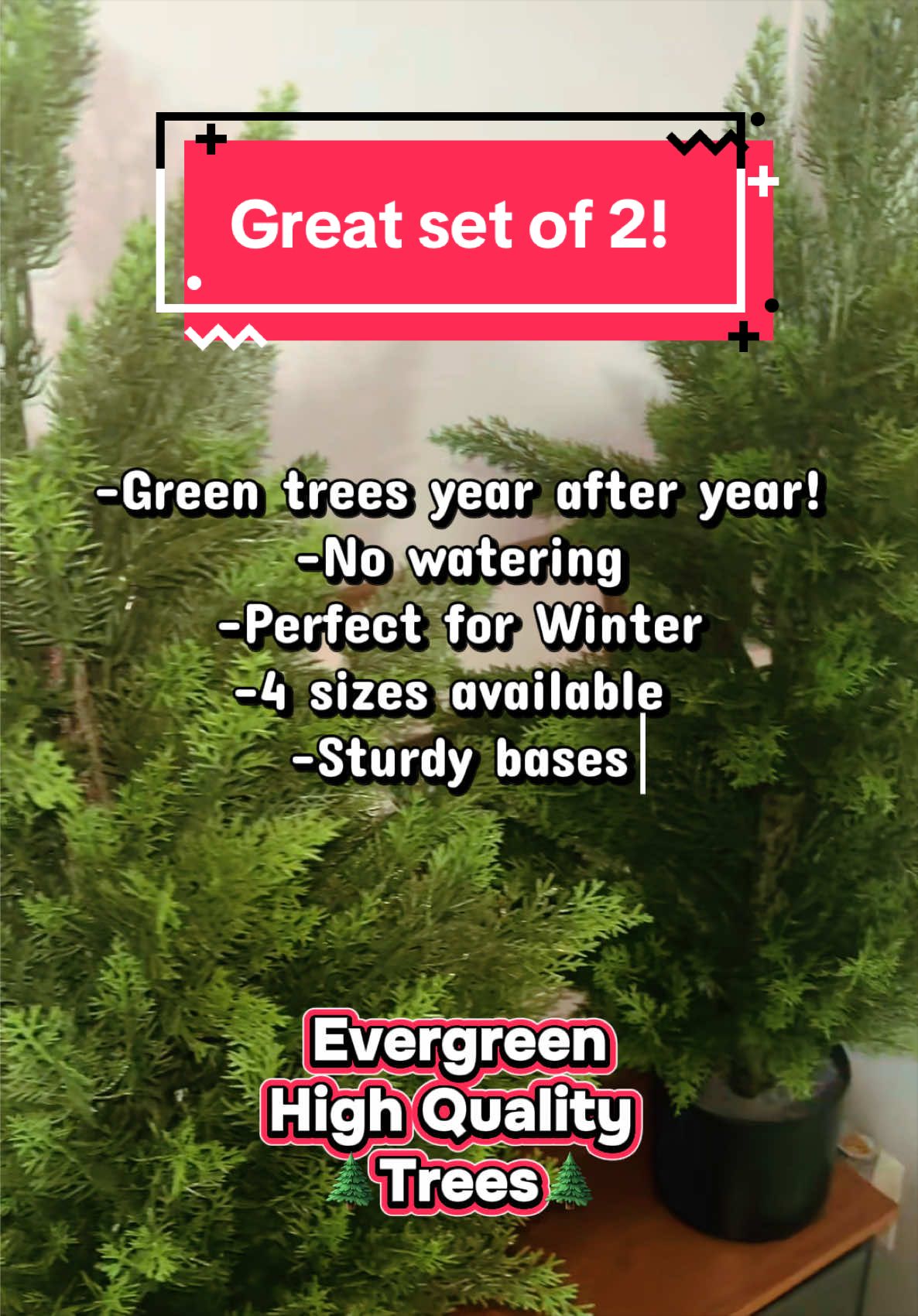Home decor just got easy with this 2 set of evergreen trees! There are different sizes available and the look is great all year long! Add these to your cart and receive fast free shipping! #homedecor #tiktokshopcreatorpicks #evergreen #tiktokshopsummersale #Home ✅❤️🌲