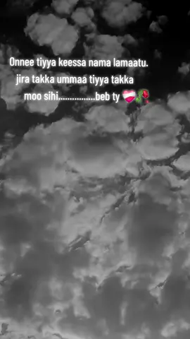 #Biscoitocut #vyralvideo #ethiopian_tik_tok🇪🇹🇪🇹🇪🇹🇪🇹 #viral @♤ROبA🇨🇦 