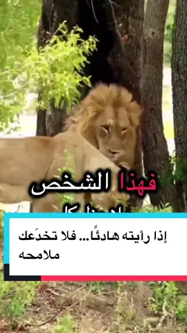 هناك أشخاص يبدون هادئين إلى درجة يظن معها الجميع أنهم لا يغضبون، ولا يتأثرون، ولا يلاحظون ما يدور حولهم. لكن الحقيقة مختلفة تمامًا؛ فهم يرون التفاصيل التي يتجاهلها الآخرون، ويحفظون المواقف، ويمنحون الفرص بصمت، لا لأنهم ضعفاء… بل لأنهم يترفعون عن الصراعات التي لا تستحق أن تُستنزف فيها كرامتهم. هدوؤهم ليس غفلة، وصمتهم ليس خوفًا، وإنما قوة تعرف متى تتكلم، ومتى تبتعد، ومتى تضع حدًا لا عودة بعده. أسوأ خطأ قد ترتكبه مع هذا النوع من الأشخاص هو أن تعتبر صبره إذنًا للاستمرار في الأذى. فكل إنسان يملك حدًا أخيرًا، وإذا انكسر هذا الحد فلن تعود العلاقة كما كانت، ولن تنفع الاعتذارات المتأخرة. لذلك، احترم من يحترمك، وقدّر من يمنحك الهدوء بدل الضجيج، لأن خسارة الشخص الهادئ غالبًا تكون خسارة نهائية… فهو لا يرفع صوته عند الرحيل، لكنه أيضًا لا يعود. #عبارات #خواطر #علم_النفس #اكسبلور #fyp 