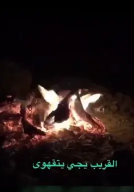 #صوت الذئب قوي