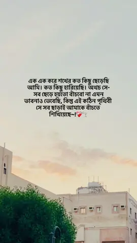 এক এক করে শখের কত কিছু ছেড়েছি আমি। কত কিছু হারিয়েছি। অথচ সে-সব ছেড়ে হয়তো বাঁচবো না এমন ভাবনাও ভেবেছি, কিন্তু এই কঠিন পৃথিবী সে সব ছাড়াই আমাকে বাঁচতে শিখিয়েছে~!❤️‍🩹🕊️ . . . . . . . . . #foryou #viralvideo #Nowren🧃 