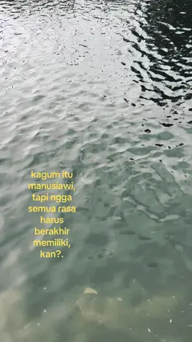 🤷‍♂️