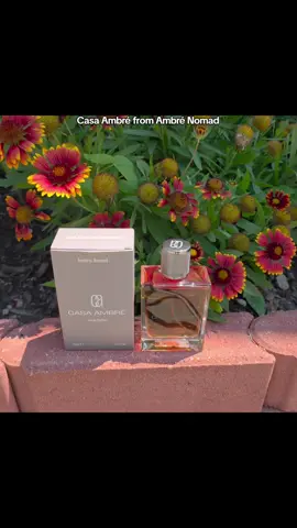 Casa Ambré from Ambré Nomad #colonge #fragrance #casaambreeauperfume #perfume #perfumetiktok 