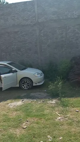Shukar alhamdulillah ......buy a car .....giving surprise to my father ..... Mor aw flar da bache fa kamyabi bande khushaligi.....Allah de zama flar la der umar jawand sara da rogh sehat warke..Ameen #father #car @ABID ALI KHAN @azizkhan5867 @KARIM KARIM @ikaram swat @khalilullah040 