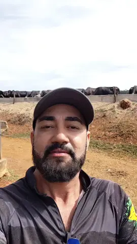 Se bora pra luta, se bora pra lida moçada e fé em Deus! #agro #criadortiktok #pecuariabrasil🇧🇷🐂🐂🐂🐂 #girolando 