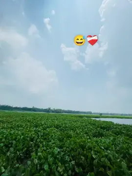 hariye gechi 😅❤️‍🩹#foryou #foryoupage #trinding #tiktok #vairal_video 