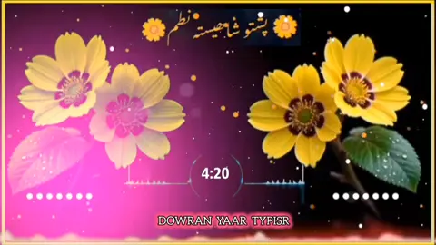 غگ دی ورک شو غگ دی نشته غگ راوکه چی شھید یه کی زوندی یه  #NaatKhwani #ForYou #NaatLovers #islamicstatusvideo #pashtonaat 