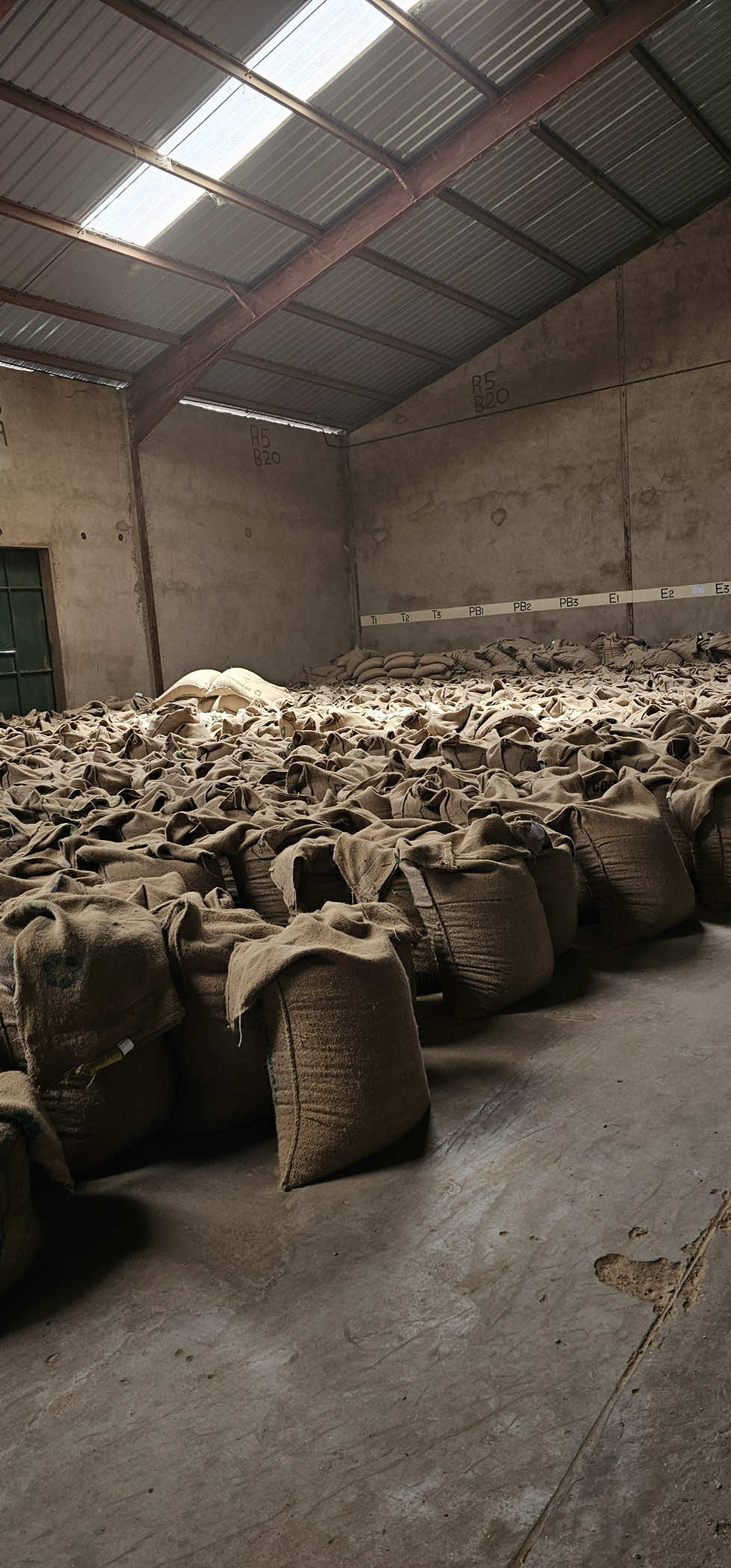 From Cherry to Export: A Visit to a Coffee Milling Station ☕🌍  1 – Receiving & Quality Check The journey begins as farmers deliver their dried parchment coffee to the mill. Each lot is inspected, and its moisture content is measured to ensure it meets the quality standards before processing.(farmers from all over kenya ) 2 – Milling & Grading Once approved, the parchment is milled to reveal the green coffee beans. The beans are then graded and separated by screen size into classifications such as AA, AB, PB, and other grades.(Using controlled friction and airflow) 3 – Sorting & Storage After grading, each lot is packed, labeled, and stored separately according to its grade and auction number, ensuring traceability and preserving quality. 4 – Supporting Farmers Coffee mills play a vital role for smallholder farmers who don’t have access to their own milling facilities. They provide professional processing services that help farmers prepare their coffee for both auction and specialty markets.  5 – Ready for the World With quality assured and every lot carefully organized, the coffee is ready to begin its journey to roasters and coffee lovers around the world. Every great cup starts long before roasting. Visiting a coffee mill gave me a deeper appreciation for the precision, teamwork, and dedication involved in preparing Kenyan coffee for the global market. 🌍☕ #CoffeeJourney #KenyanCoffee #CoffeeMilling #SpecialtyCoffee #GreenCoffee     