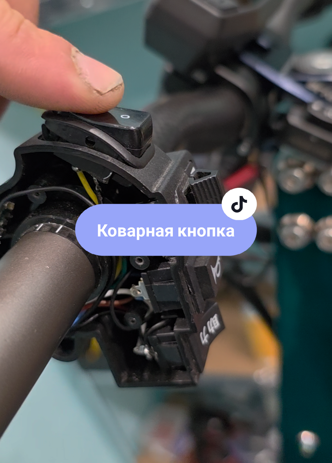 Куга строит мне козни)