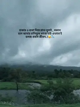 হাজার ও ব্যথা নিয়ে রাতে ঘুমাই., সকাল হলে আবার হাসিমুখে কাজে যাই-এভাবে'ই চলছে প্রবাস জীবন..!😅✈️ #fory