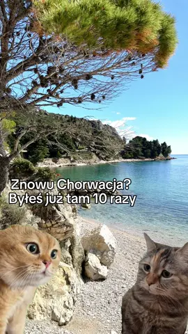 Chorwacja, a potem Chorwacja #wakacyjnepomysly #chorwacja 