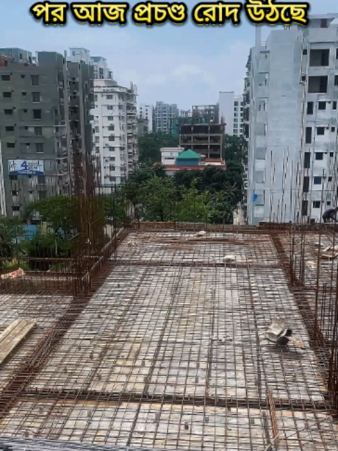 দীর্ঘ ৫ থেকে ৬ দিন টানা বৃষ্টির পর আজ প্রচণ্ড রোদ উঠছে