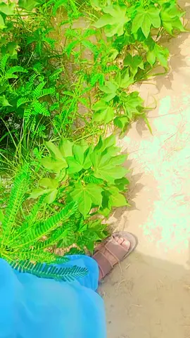 #Abdulrehman❤️❤️❤️❤️❤️🥰🥰🥰❤️❤️🥰🥰 #Abdulrehman❤️❤️❤️❤️❤️🥰🥰🥰❤️❤️🥰🥰 