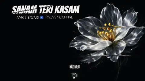 SANAM TERI KASAM💔🥀 စဆုံးတင်ပေးလိုက်ပီနော် #hindisong #mmsub #foryou #foryoupage #fyp 