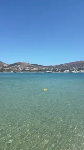 Tortugas > Paros 
