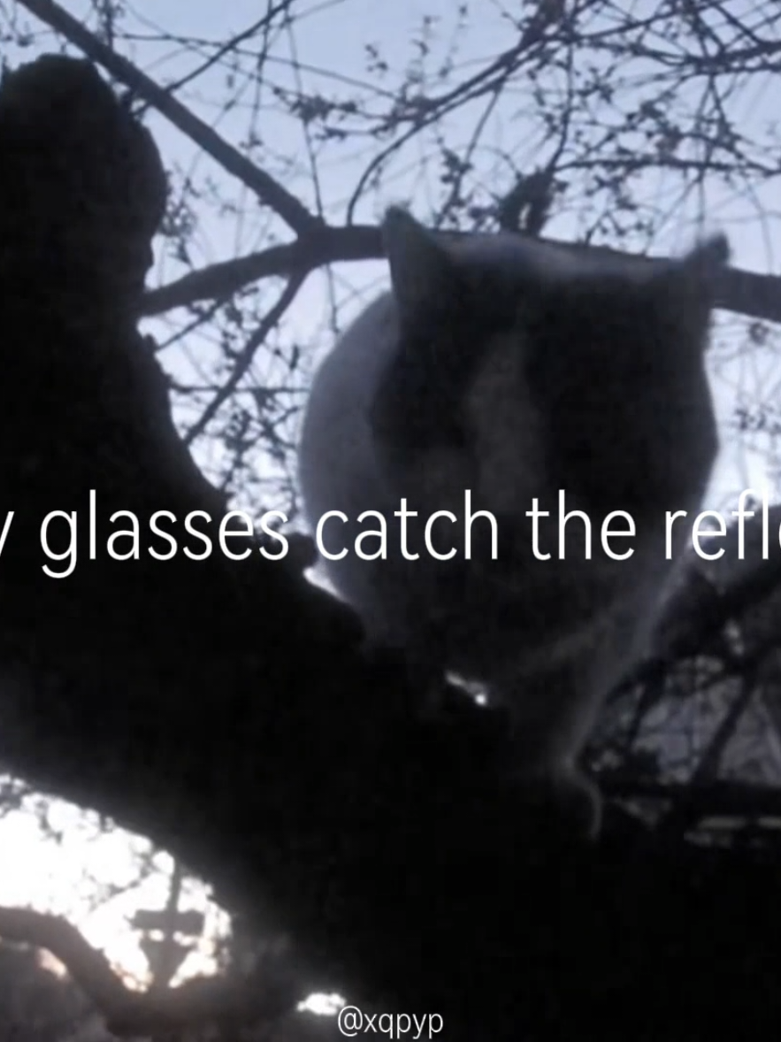 Обнял, поцеловал - whole lotta swag #обнялпоцеловал #viralsong #digitalcamera #songlyrics #russiansong 