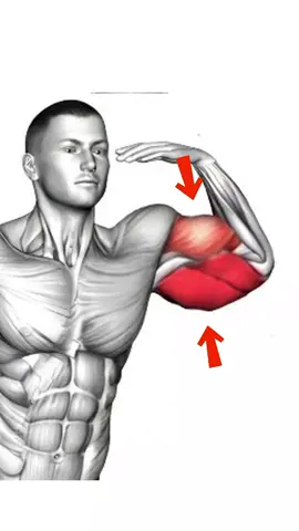 Transform Your Arms 1 Week vs 6 Weeks! 🚀🏋️‍♂️ #GymTok #BicepWorkout #ArmDay  #fitnesstransformation #tiktokgrowthchallenge 