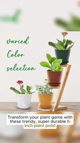 6 inch Plant Pots, 5 Pack Flower Pots Outdoor Indoor, Planters with Drainage Holes and Tray Saucers（Multicolor） 