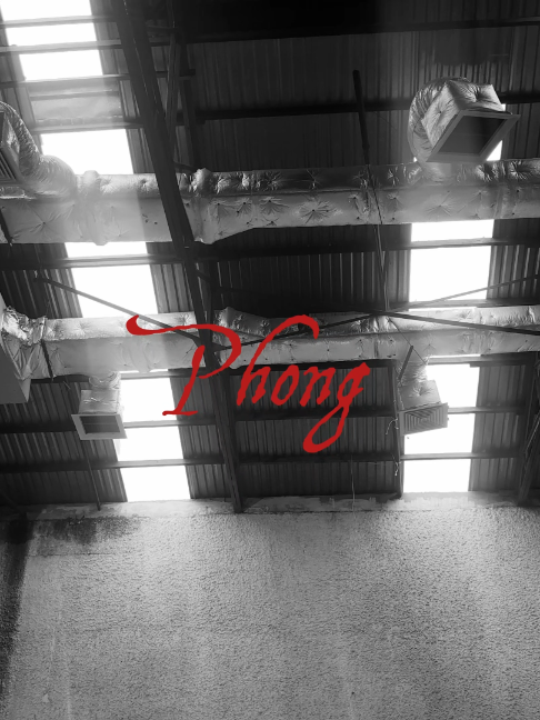 TRAILER 📷19:00 18/07/2026📷 Vì Anh Sai - PHONG xin mọi người ủng hộ cho mv đầu tay của mình nhaa📷#son tung mtp #abcxyz #ballad #flstudio #beat #xuhuong