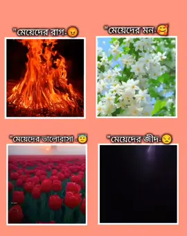 এ-র মধ্যে তুমি কোন টা ব'লে যা-ও.  🖤🥰🌷🎀🫶 #কপি_লিংক_করো_প্লিজ_প্লিজ 