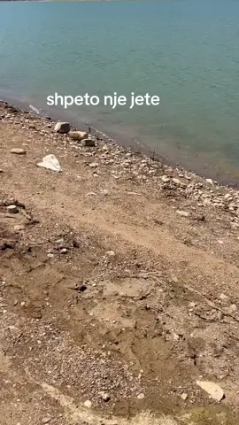 #catfish #amur #carp #fishing #fy 