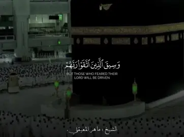 من اكثر التلاوات المؤثره للشيخ ماهر المعيقلي 😔🤍. #الشيخ #ماهرالمعيقلي #قران_كريم #fyp #you 