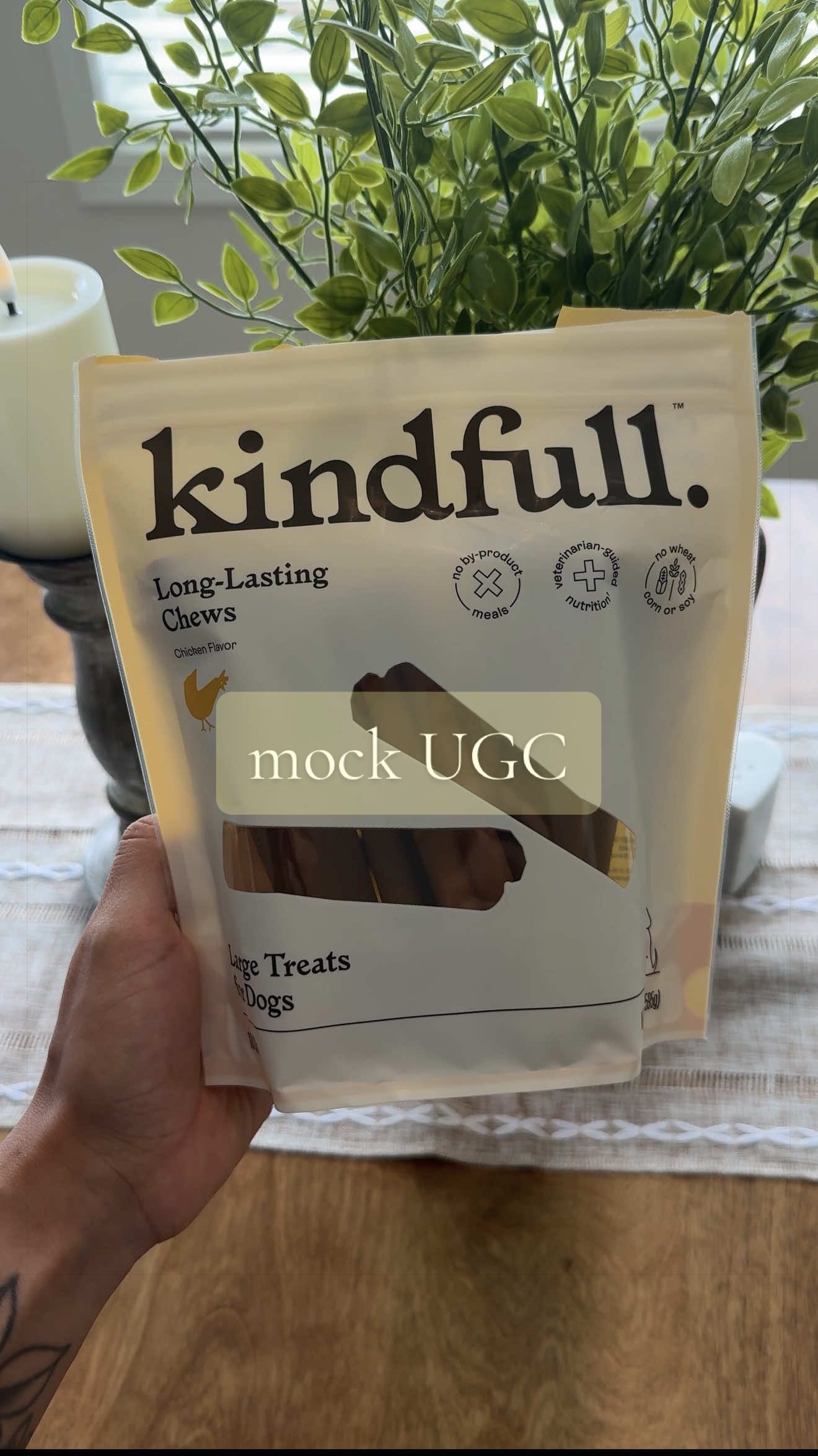 POV: you’ve found your pups new favorite treat 🐶  Mock UGC • featuring @target Kindfull Long-Lasting Chews.  #kindfull #kindfulldog #ugccontentcreator #ugcexamples #CapCut 