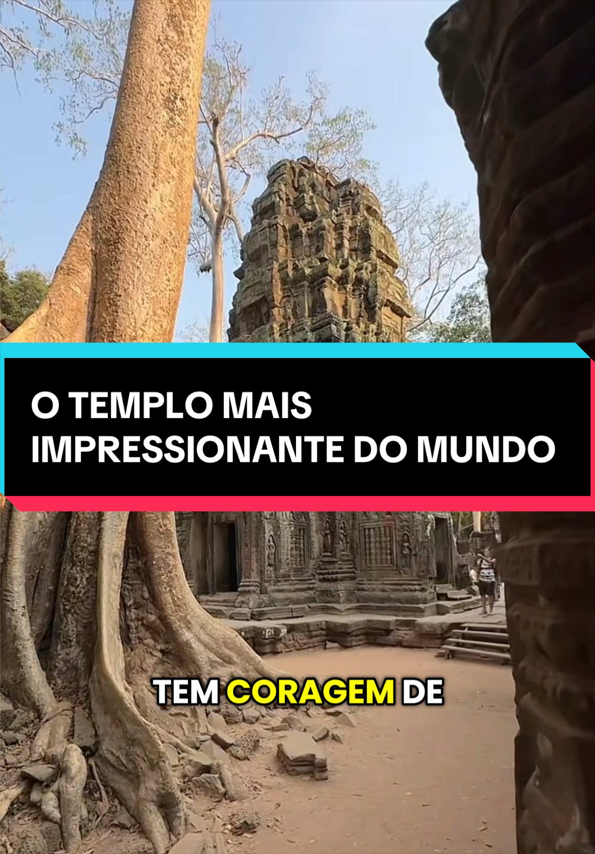 O Ta Prohm é um dos templos mais impressionantes do mundo. Descubra como árvores gigantes e raízes centenárias se tornaram parte da construção e revelam uma das curiosidades mais incríveis da arqueologia.  #curiosidades #taprohm #fatoscuriosos 