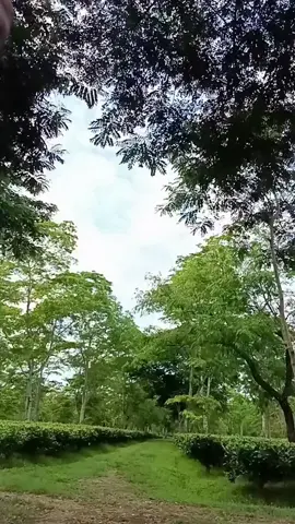 dhokha 😩#unfrezzmyaccount #viralvideo #mubarikofficial04 